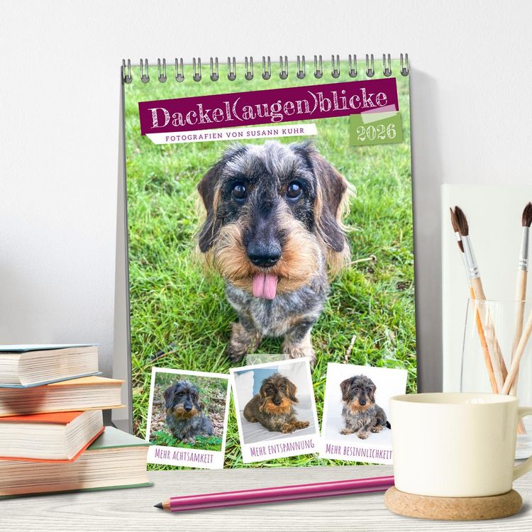 Produktbild: Dackel(augen)blicke (Tischkalender 2026 DIN A5 hoch), CALVENDO Monatskalender