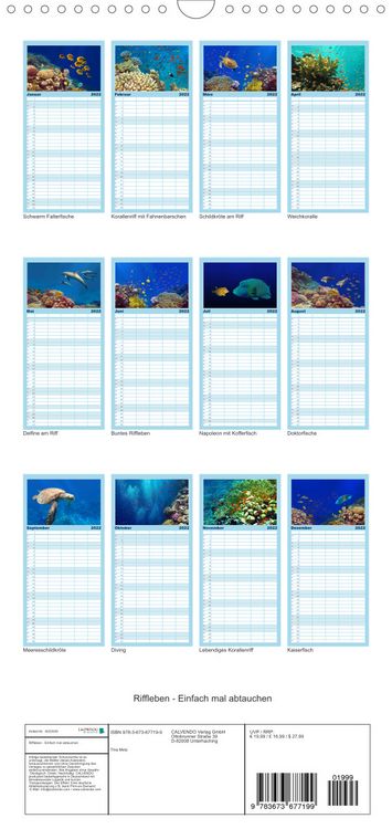 Produktbild: Riffleben - Einfach mal abtauchen - Familienplaner hoch (Wandkalender 2022 , 21 cm x 45 cm, hoch)
