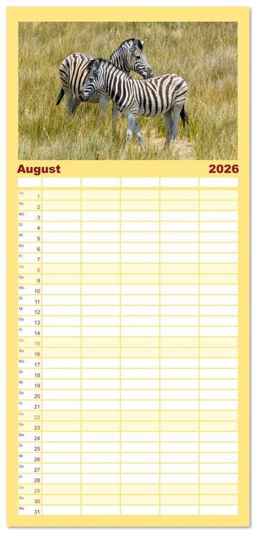 Produktbild: Familienplaner 2026 - Zebras in Afrika mit 5 Spalten (Wandkalender, 21 x 45 cm) CALVENDO