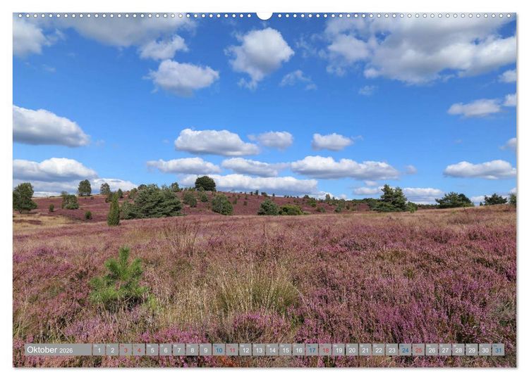 Produktbild: L&uuml;neburger Heide - Faszinierend sch&ouml;n (hochwertiger Premium Wandkalender 2026 DIN A2 quer), Kunstdruck in Hochglanz