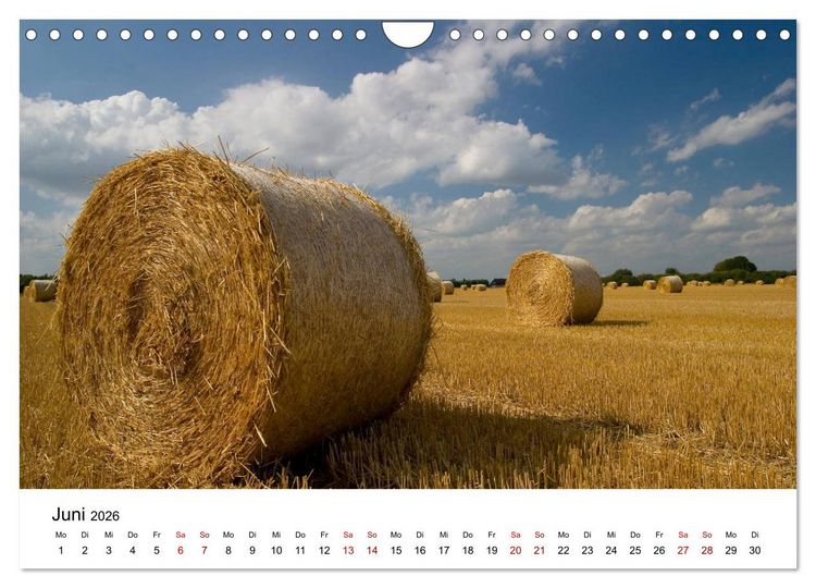Produktbild: Stimmungsvoller Niederrhein (Wandkalender 2026 DIN A4 quer), CALVENDO Monatskalender