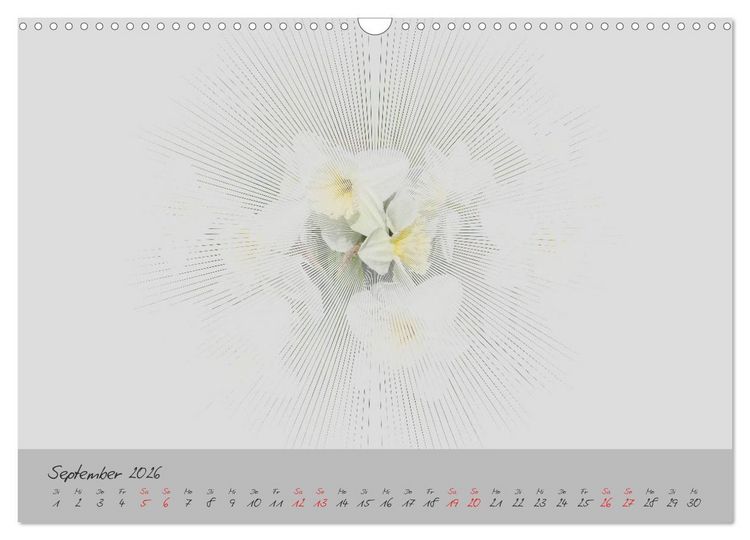 Produktbild: Bl&uuml;ten FineArt (Wandkalender 2026 DIN A3 quer), CALVENDO Monatskalender