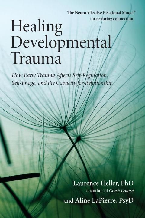 Produktbild: Healing Developmental Trauma
