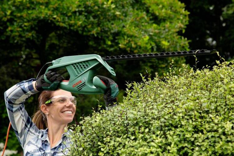 Produktbild: Bosch Home and Garden EasyHedgeCut 55-16 Elektro Heckenschere 450 W