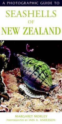 Produktbild: Anderson, M: Photographic Guide To Seashells Of New Zealand
