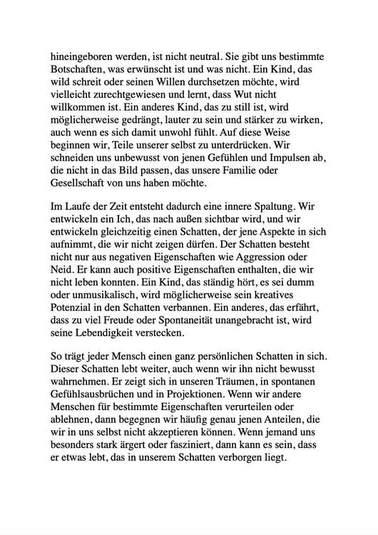 Produktbild: Schattenarbeit