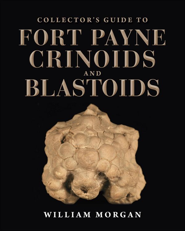 Produktbild: Collector's Guide to Fort Payne Crinoids and Blastoids