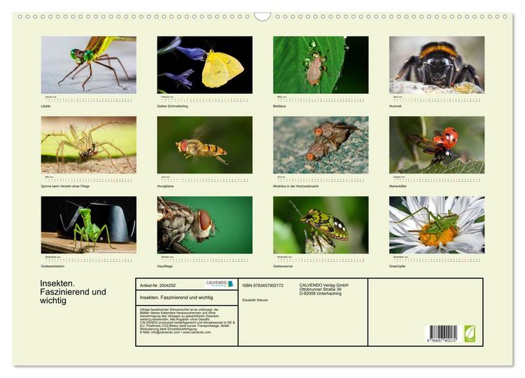 Produktbild: Insekten. Faszinierend und wichtig (Wandkalender 2026 DIN A2 quer), CALVENDO Monatskalender