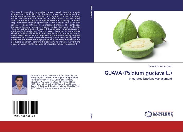Produktbild: GUAVA (Psidium guajava L.)