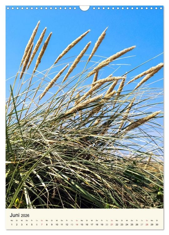 Produktbild: LANGEOOG Strandspaziergang (Wandkalender 2026 DIN A3 hoch), CALVENDO Monatskalender
