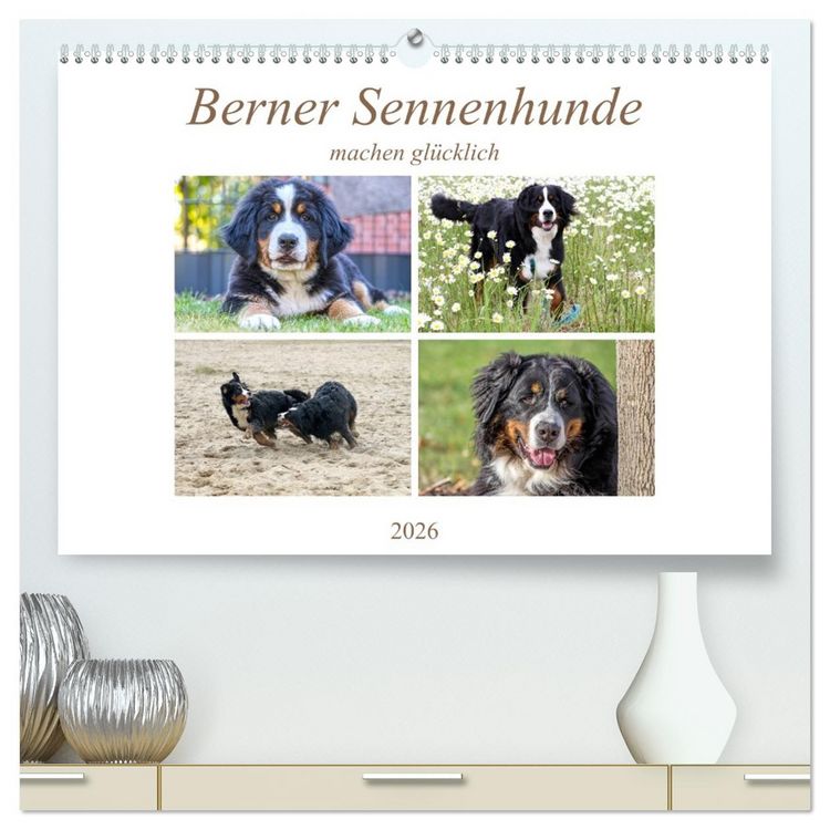 Produktbild: Berner Sennenhunde machen gl&uuml;cklich (hochwertiger Premium Wandkalender 2026 DIN A2 quer), Kunstdruck in Hochglanz