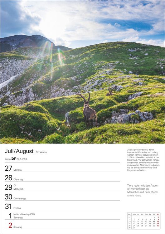 Wochenplaner 2024 „Berge“ – Wandkalender Mit 53 Bergpanoramen, 25x35,5 Cm