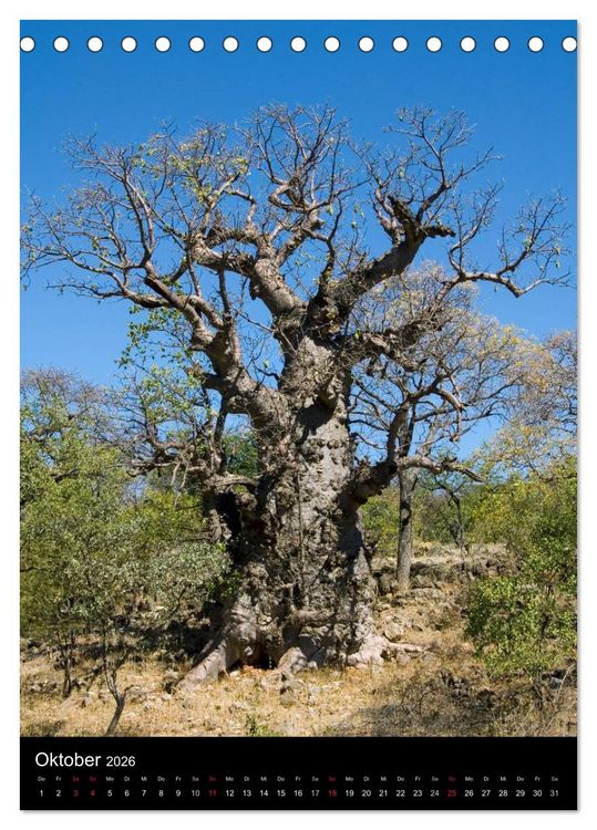 Produktbild: Faszination Namibia (Tischkalender 2026 DIN A5 hoch), CALVENDO Monatskalender