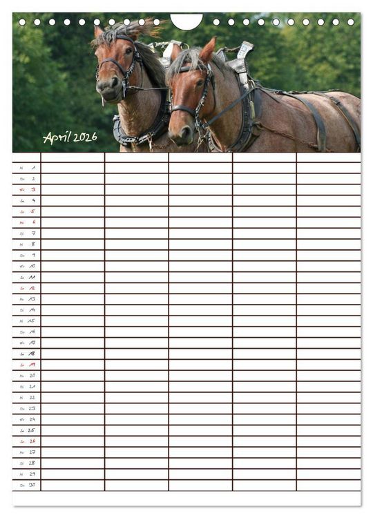 Produktbild: Der Kaltblut-Familienplaner (Wandkalender 2026 DIN A4 hoch), CALVENDO Monatskalender
