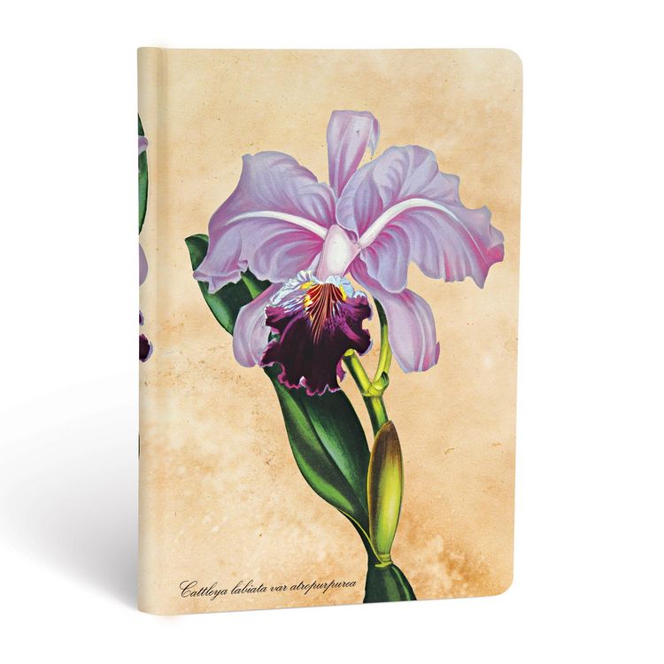 Produktbild: Hardcover Notizbuch Brasilianische Orchidee, Mini, Unliniert