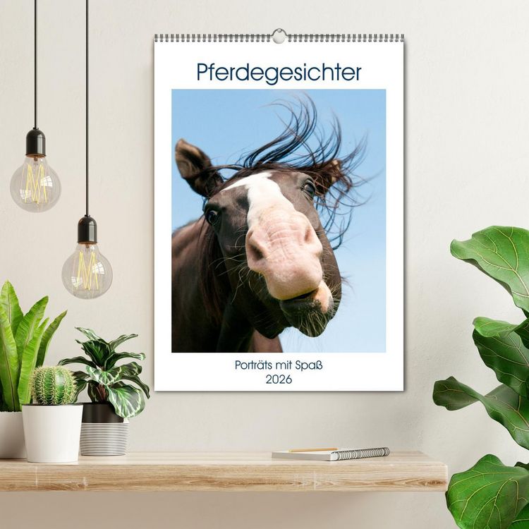 Produktbild: Pferdegesichter - Portr&auml;ts mit Spa&szlig; (Wandkalender 2026 DIN A2 hoch), CALVENDO Monatskalender