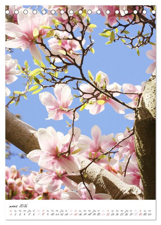 Produktbild: Heureux au jardin (Calendrier de bureau 2026 DIN A5 horizontal), CALVENDO calendrier mensuel