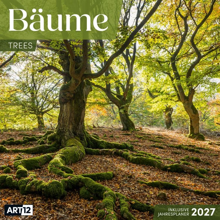 Produktbild: B&auml;ume Kalender 2027 - 30x30 - Art12