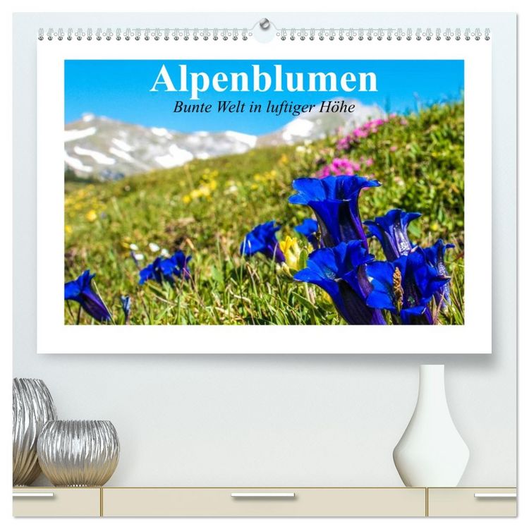 Produktbild: Alpenblumen. Bunte Welt in luftiger H&ouml;he (hochwertiger Premium Wandkalender 2026 DIN A2 quer), Kunstdruck in Hochglanz