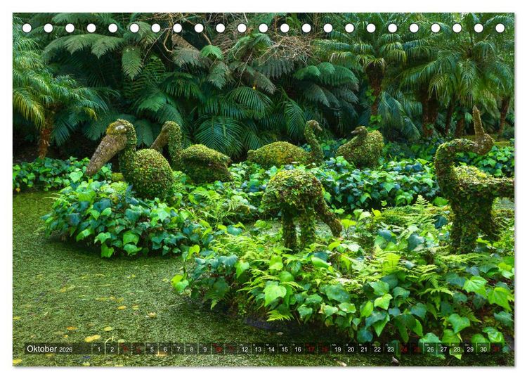 Produktbild: Terra Nostra Garten - ein botanisches Juwel auf den Azoren (Tischkalender 2026 DIN A5 quer), CALVENDO Monatskalender
