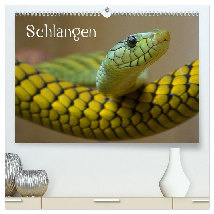 Produktbild: Schlangen (hochwertiger Premium Wandkalender 2026 DIN A2 quer), Kunstdruck in Hochglanz