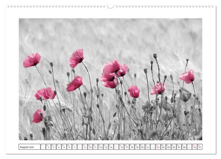 Produktbild: Natur schwarz - wei&szlig; Malerei (Wandkalender 2026 DIN A2 quer), CALVENDO Monatskalender