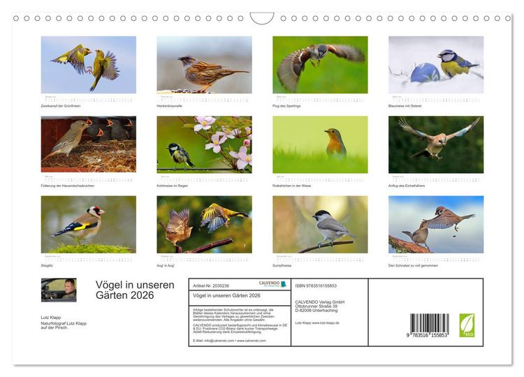 Produktbild: V&ouml;gel in unseren G&auml;rten 2026 (Wandkalender 2026 DIN A3 quer), CALVENDO Monatskalender
