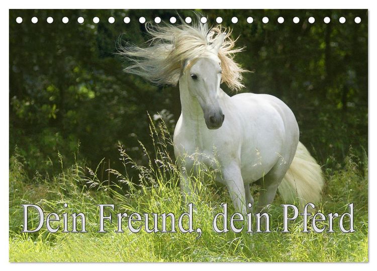 Produktbild: Dein Freund, dein Pferd (Tischkalender 2026 DIN A5 quer), CALVENDO Monatskalender