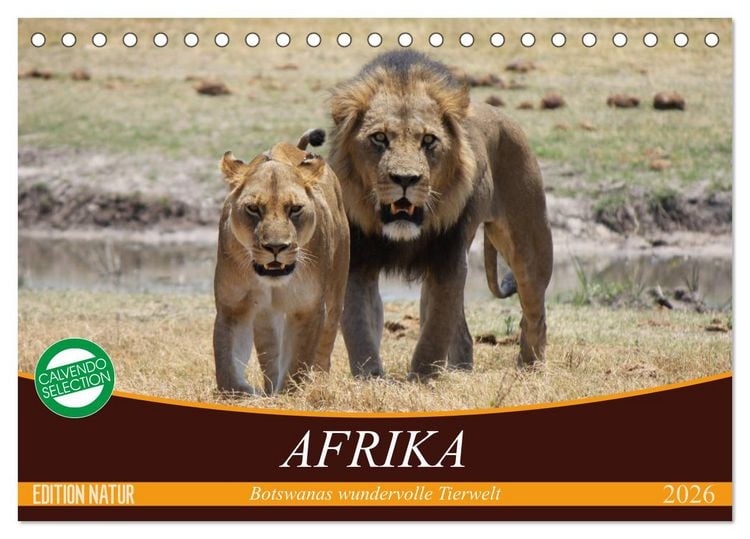 Produktbild: Afrika. Botswanas wundervolle Tierwelt (Tischkalender 2026 DIN A5 quer), CALVENDO Monatskalender