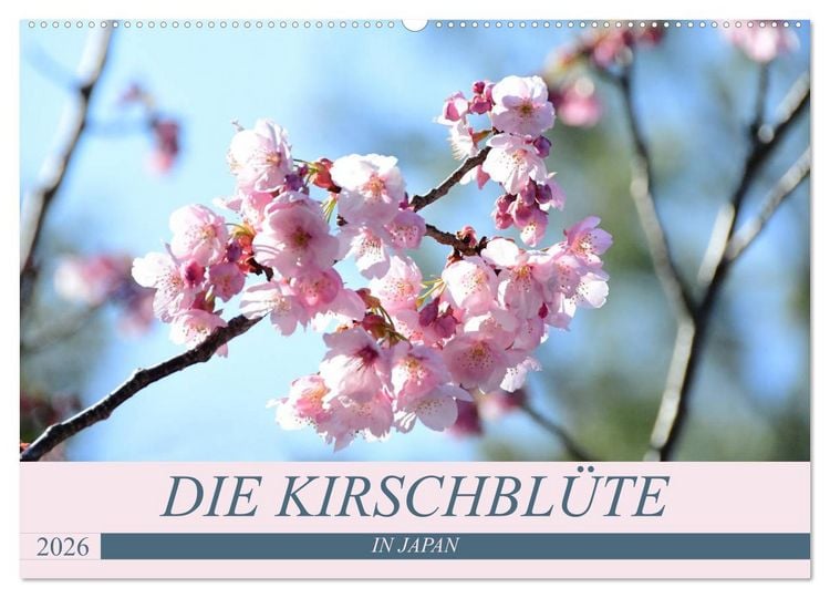 Produktbild: Die Kirschbl&uuml;te in Japan (Wandkalender 2026 DIN A2 quer), CALVENDO Monatskalender