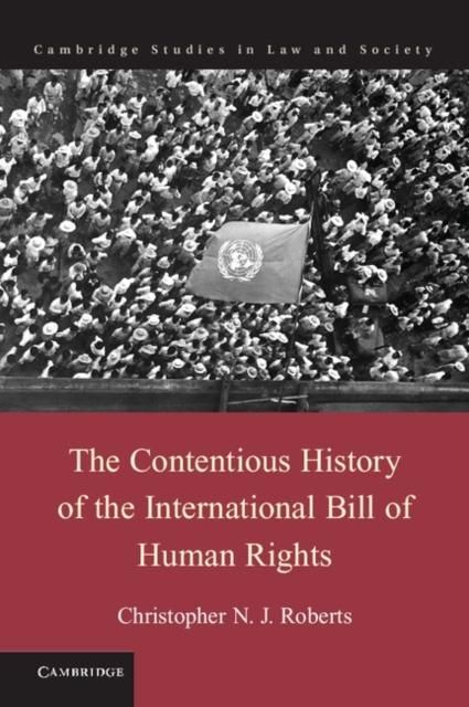 Produktbild: Contentious History of the International Bill of Human Rights