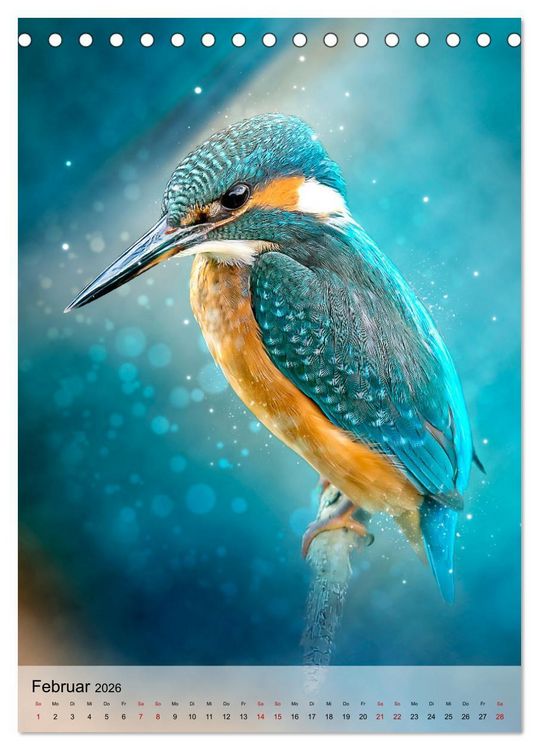 Produktbild: Schillernder Eisvogel (Tischkalender 2026 DIN A5 hoch), CALVENDO Monatskalender