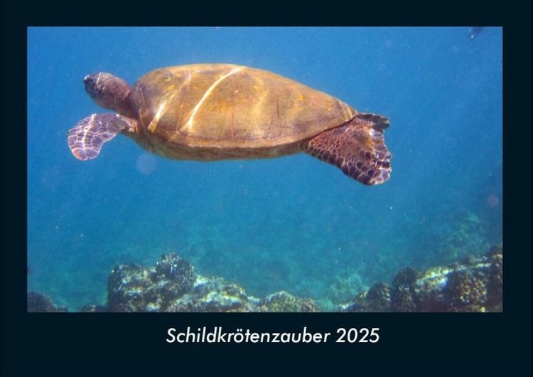 Produktbild: Schildkr&ouml;tenzauber 2025 Fotokalender DIN A4