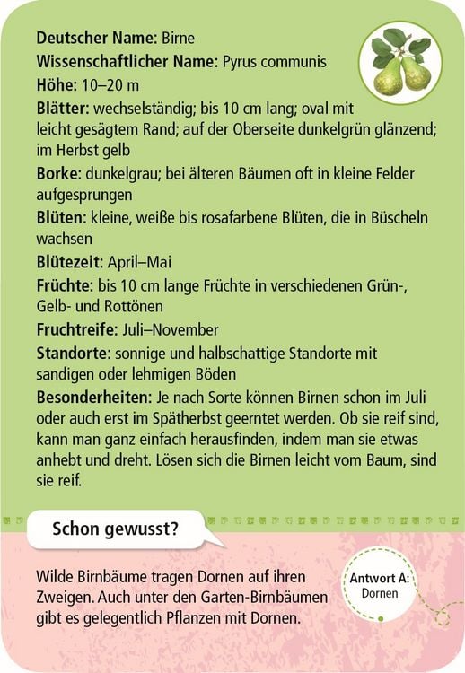 Produktbild: Expedition Natur 50 heimische Garten- & Feldpflanzen