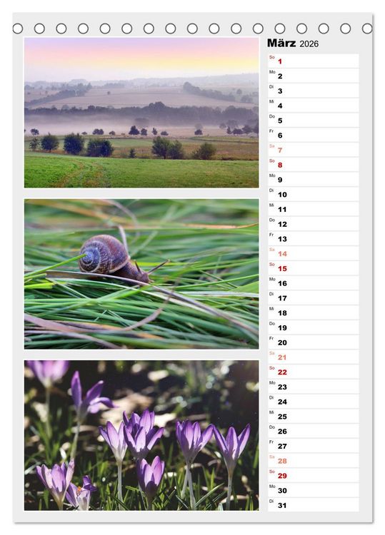 Produktbild: Zauberhafte Farben der Natur (Tischkalender 2026 DIN A5 hoch), CALVENDO Monatskalender