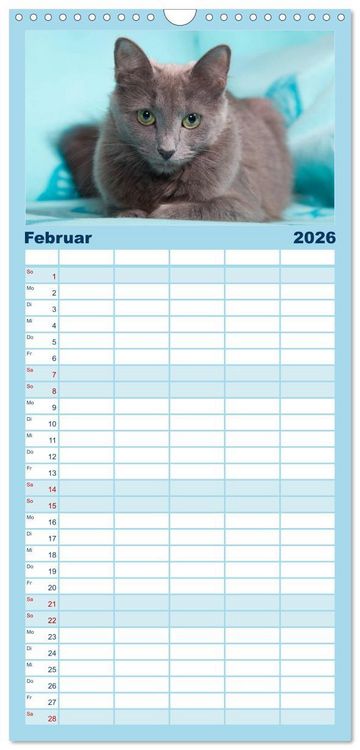 Produktbild: Familienplaner 2026 - Nebelung Katzen mit 5 Spalten (Wandkalender, 21 x 45 cm) CALVENDO