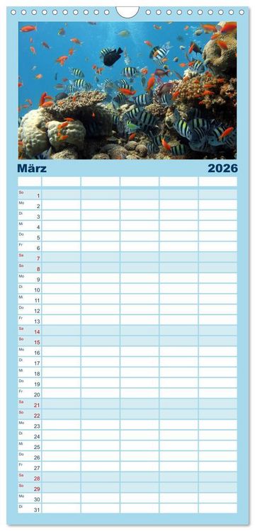 Produktbild: Familienplaner 2026 - Fische und Meerestiere mit 5 Spalten (Wandkalender, 21 x 45 cm) CALVENDO