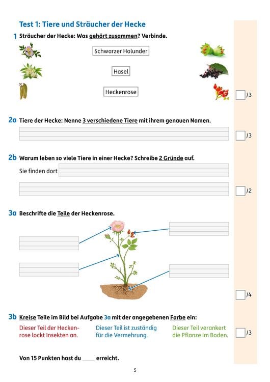 Produktbild: &Uuml;bungsheft mit Tests im Sachunterricht 2. Klasse
