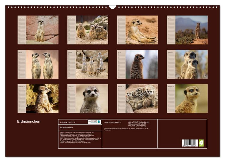 Produktbild: Erdm&auml;nnchen (Wandkalender 2026 DIN A2 quer), CALVENDO Monatskalender
