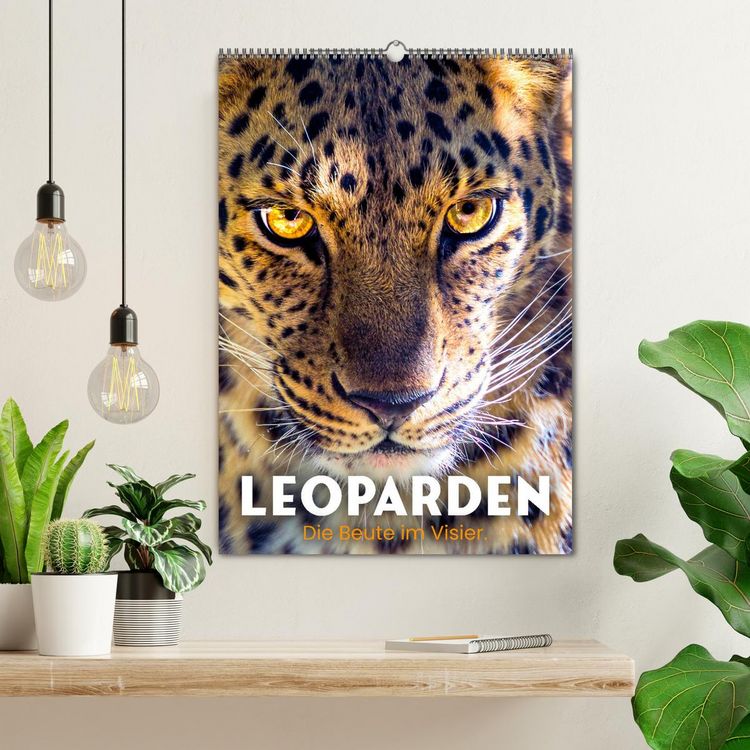 Produktbild: Leoparden - Die Beute im Visier. (Wandkalender 2026 DIN A2 hoch), CALVENDO Monatskalender