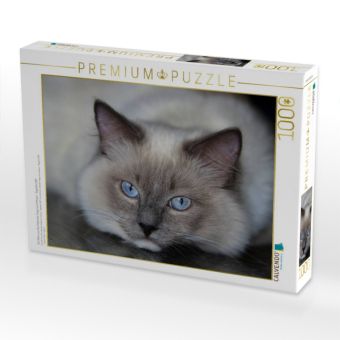 Produktbild: CALVENDO Puzzle Ein Motiv aus dem Kalender Engel auf 4 Pfoten - Ragdolls 2017 | 1000 Teile Lege-Gr&ouml;&szlig;e 64x48cm Foto-Puzzle f&uuml;r gl&uuml;ckliche Stunden