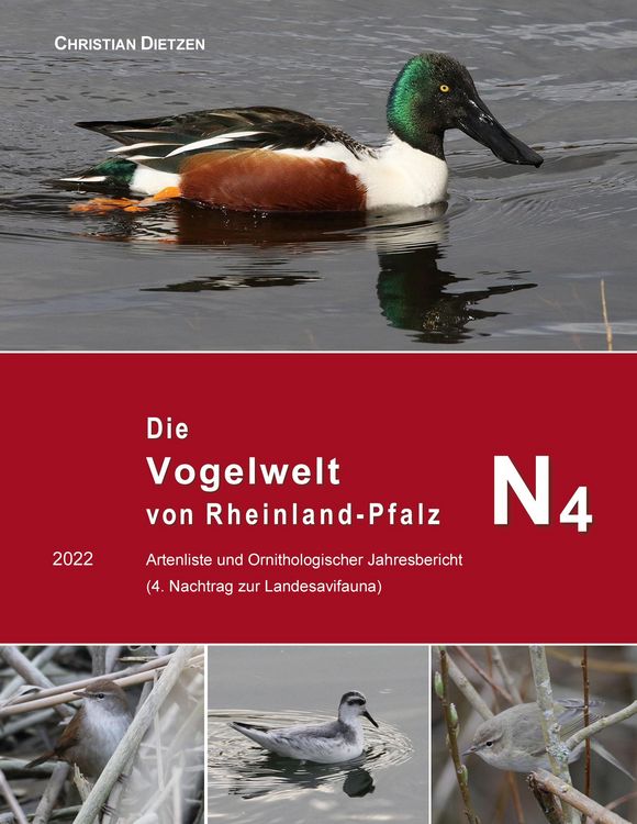 Produktbild: Die Vogelwelt von Rheinland-Pfalz N4