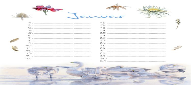 Produktbild: Geburtstagskalender