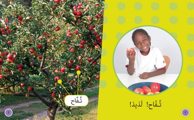 Produktbild: Big Cat Arabic - Fruit