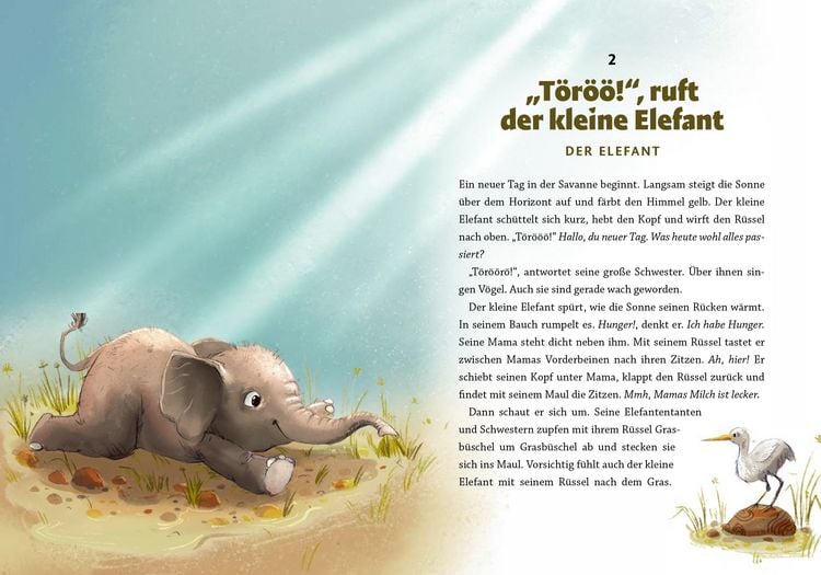 Produktbild: Gute Nacht, kleiner Koala &ndash; 20 tierische Einschlafgeschichten