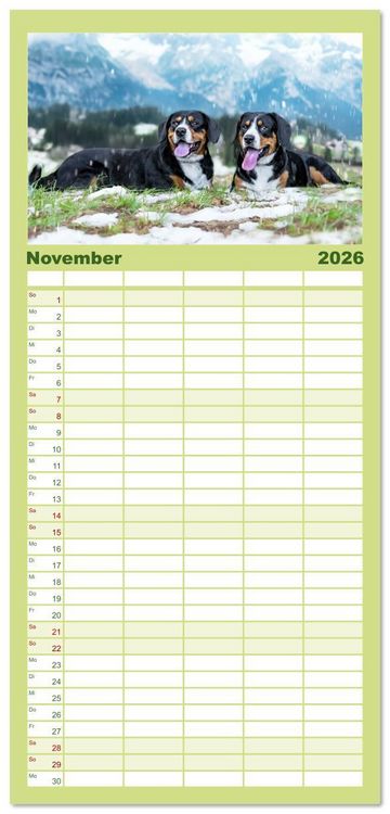 Produktbild: Familienplaner 2026 - Entlebucher - Temperamentvolle Schweizer Sennenhunde mit 5 Spalten (Wandkalender, 21 x 45 cm) CALVENDO