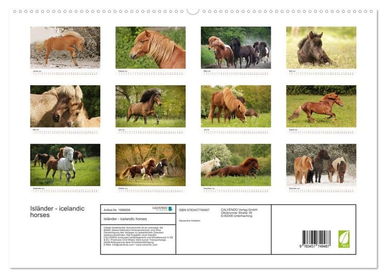 Produktbild: Isl&auml;nder - icelandic horses (hochwertiger Premium Wandkalender 2026 DIN A2 quer), Kunstdruck in Hochglanz