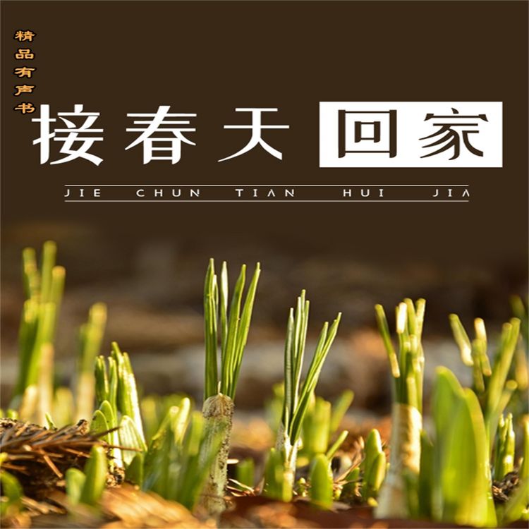 Produktbild: 接春天回家