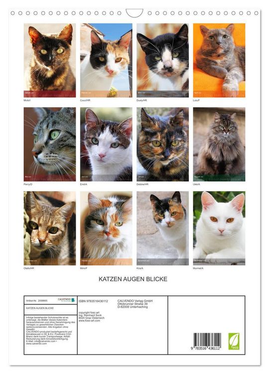 Produktbild: KATZEN AUGEN BLICKE (Wandkalender 2026 DIN A3 hoch), CALVENDO Monatskalender