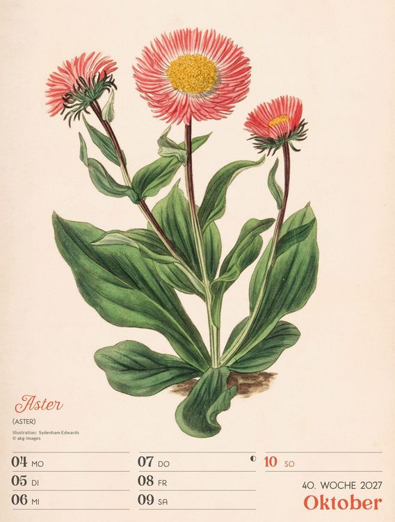 Produktbild: Ars Floralis Wochenplaner Kalender 2027